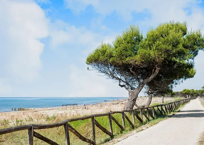 Beachfront With Terrace *