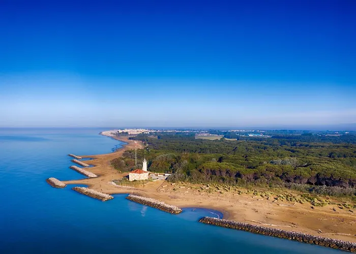 Beachfront With Terrace 아파트 비비오네
